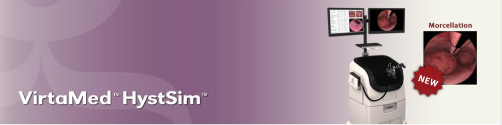 HystSim Hysteroscopy Simulator HystSim Hysteroscopy Simulator