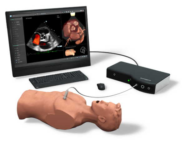US Mentor Ultrasound Simulator Mannequin
